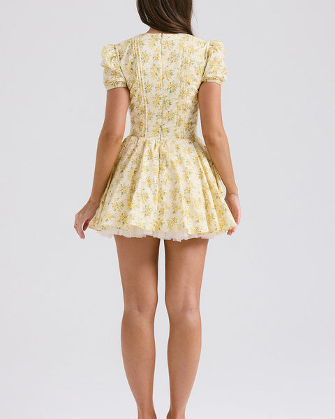 Ditsy Floral Print Mini Dress