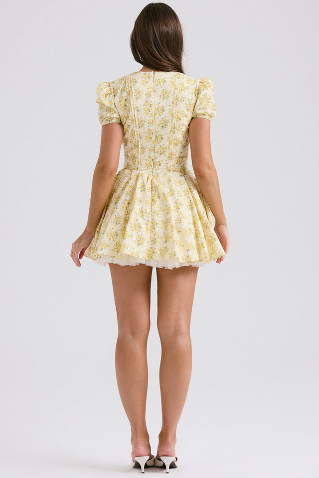 Ditsy Floral Print Mini Dress