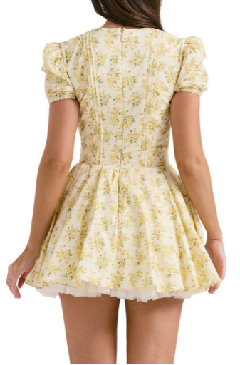 Ditsy Floral Print Mini Dress